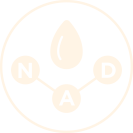 Tràn đầy năng lượng