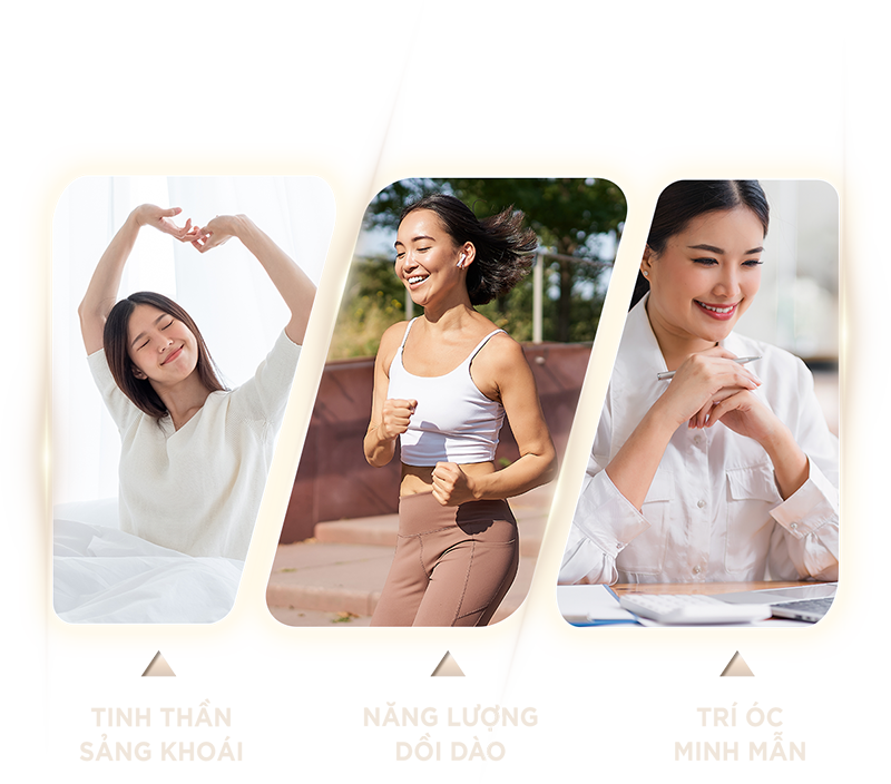 Cải thiện hoạt động của<br>